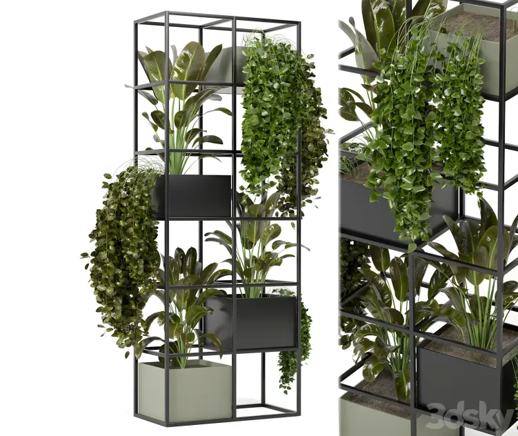 Indoor plants in rusty concrete pot on metal shelf