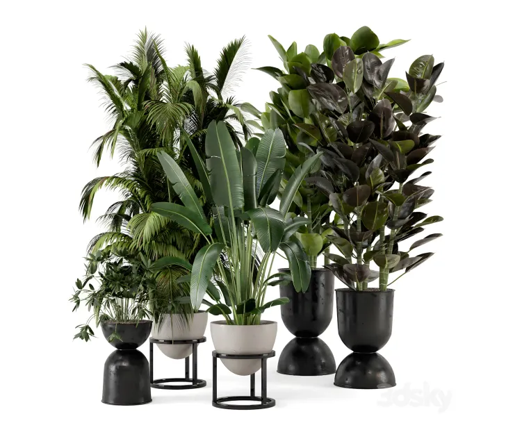 Indoor plants in rusty concrete pot on metal shelf