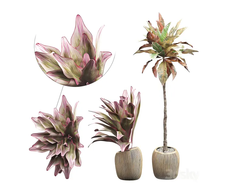 Interior flower pack