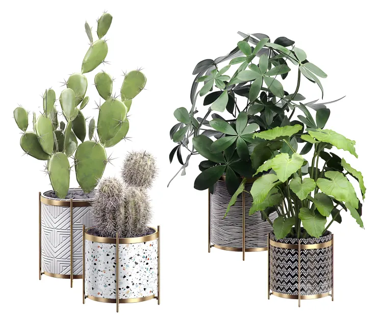 Interior flower pack cactus part