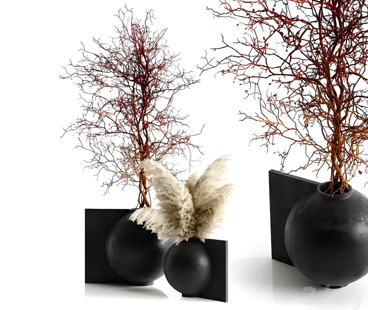 Pampas branching tree