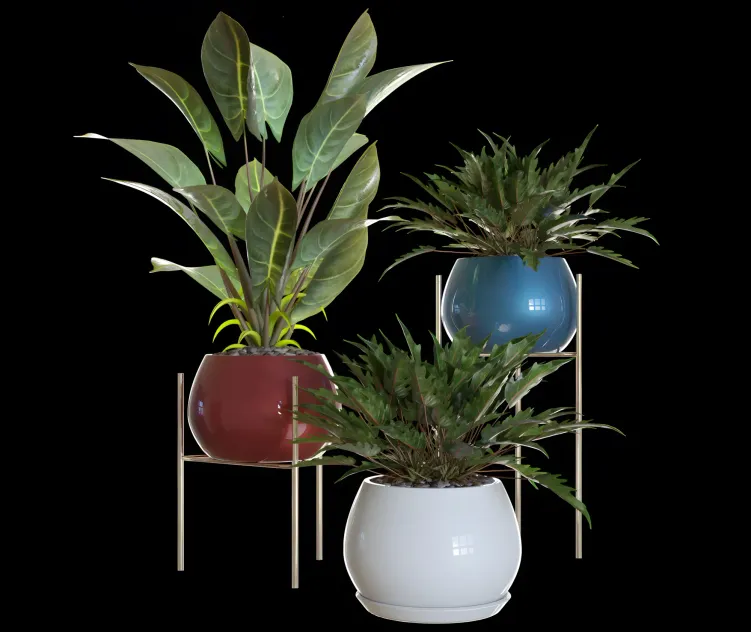 Philodendron plant pots