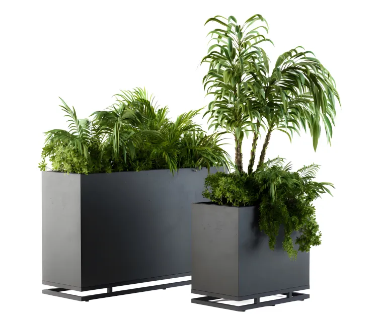 Plant box metal compact