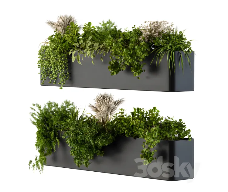 Plant box on wall