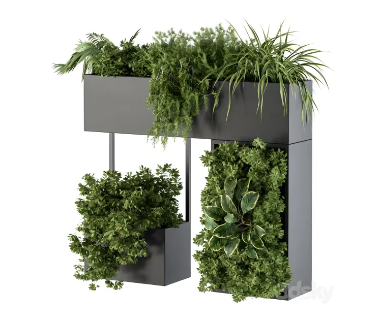 Plant box on wall indoor plants