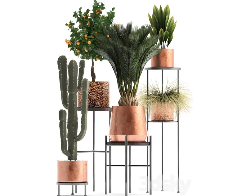 Plant collection copper pot