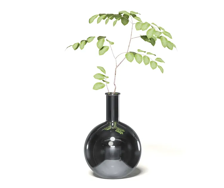 Plantinchromevase
