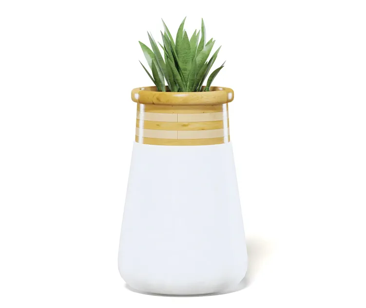 Plantinlargemodernpot