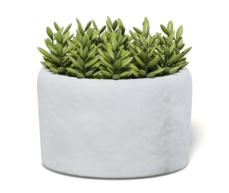 Plantinstonepot