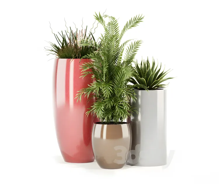 Plants collection awesomeplanters