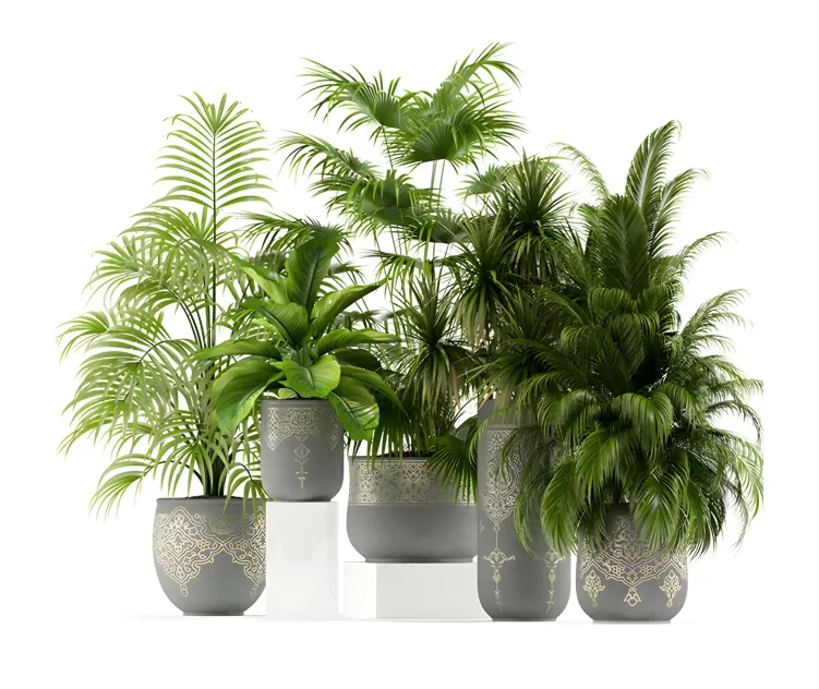 Plants collection handmade pots east style