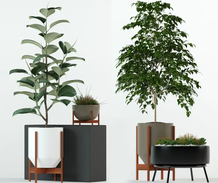 Plants collection modernica pots