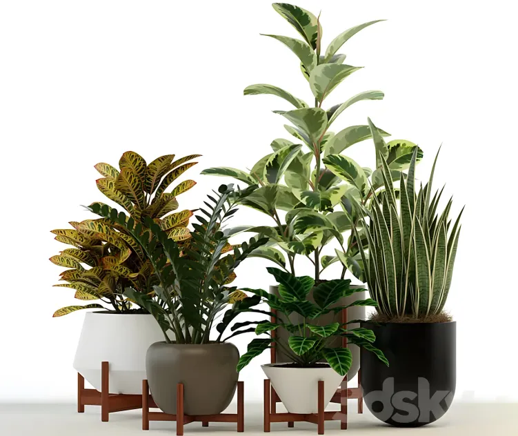 Plants collection modernica pots