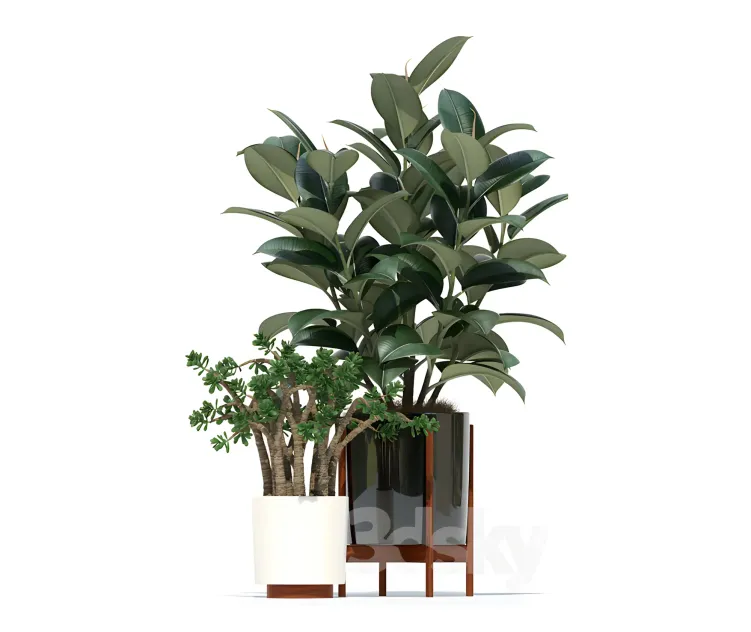 Plants collection modernica pots