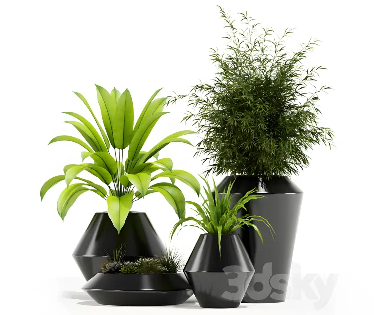 Plants collection westelm modern planters