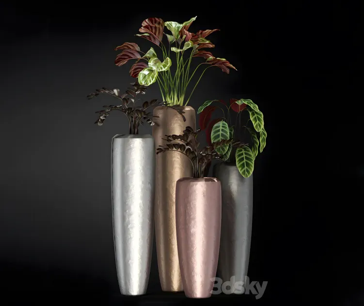 Plants llection fleur ami loft