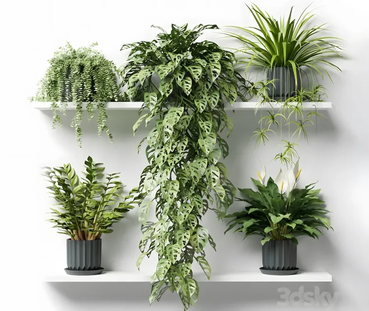 Plants on a shelf in ribbed pots