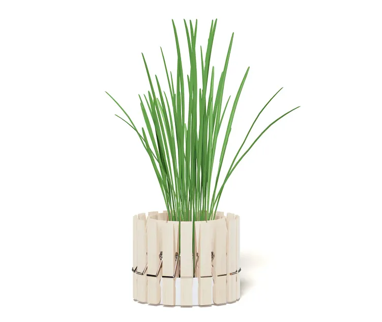 Plantwithclothespegs