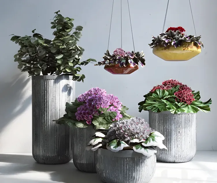 Pottery barn planters