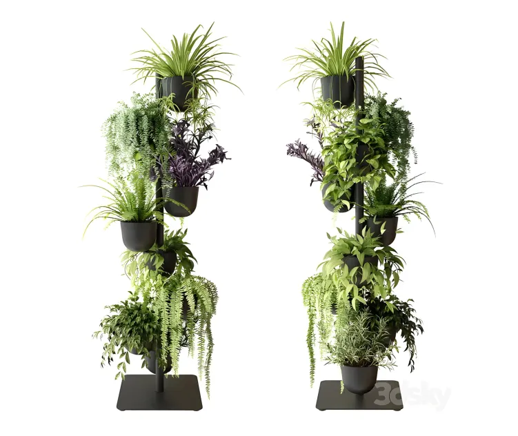 Rack with indoor plants in pots