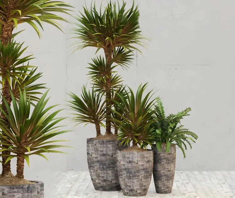 Restoration hardware corso planter