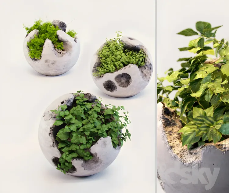 Round concrete pots with plants
