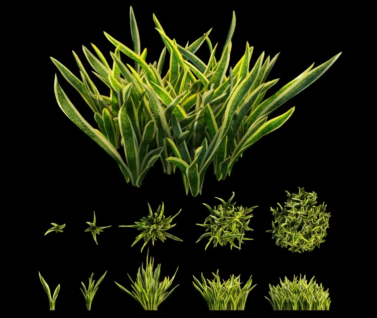 Sansevieria artificial snake plant