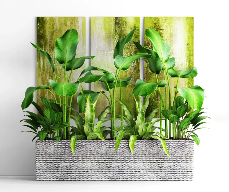 The collection of plants in pots