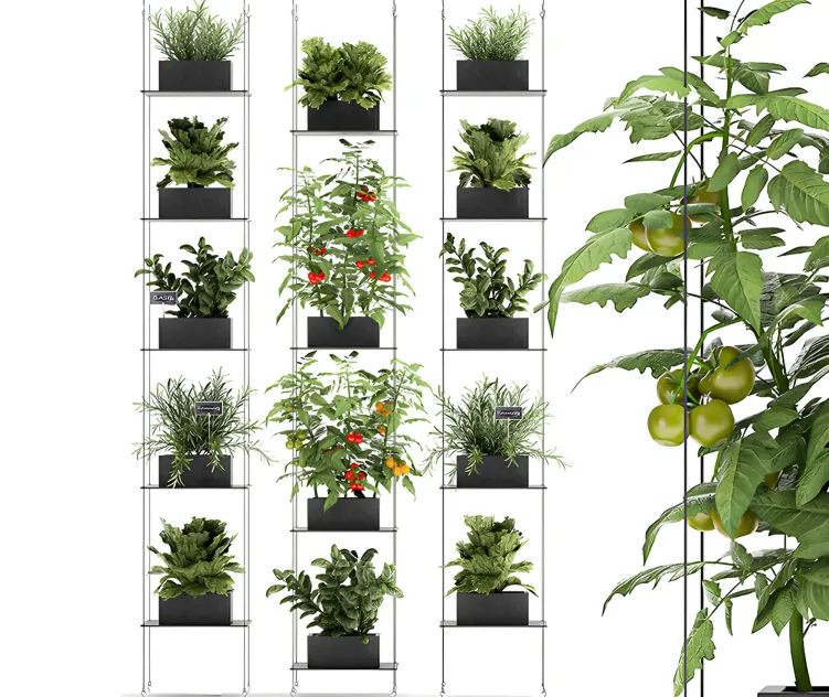 Vertical gardening kitchen
