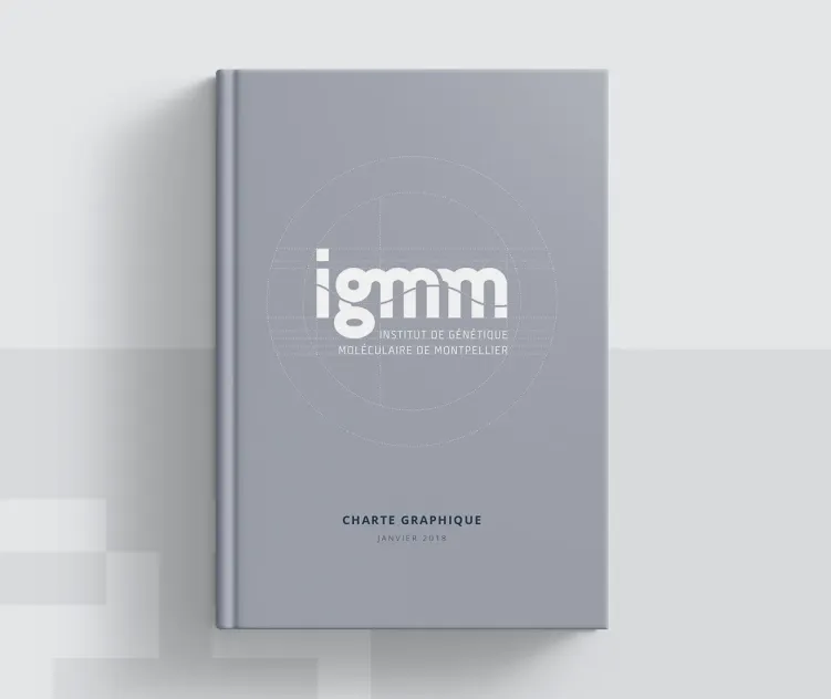 Igmm