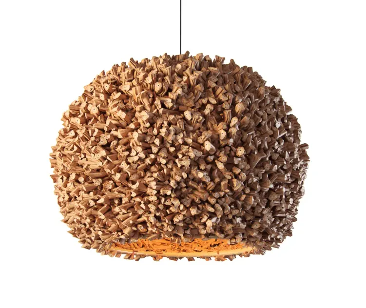 Water hyacinth model