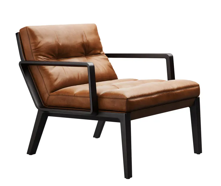Andoo lounge chair by walter knoll