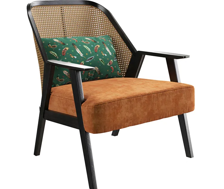 Roche bobois weg armchair