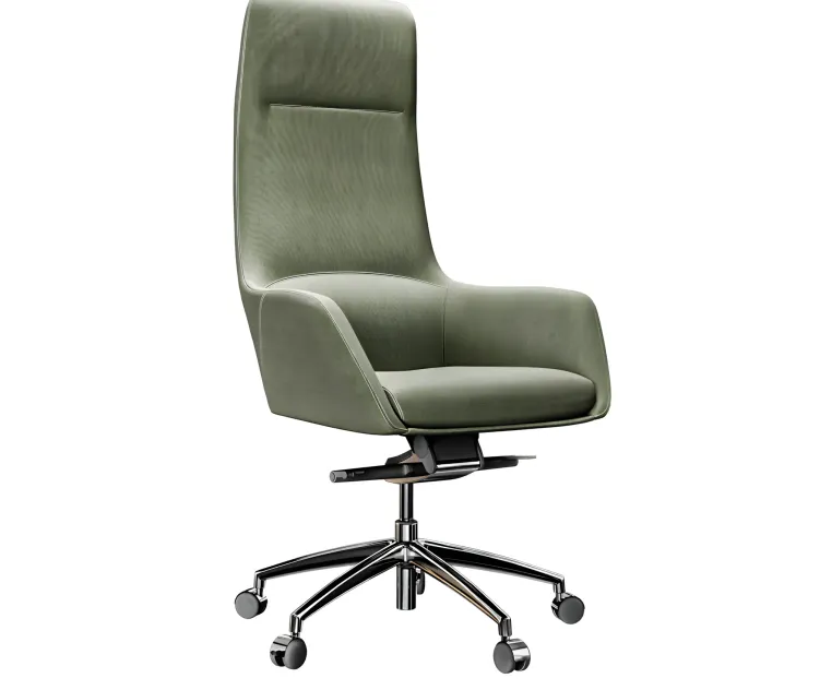 Darwin office chair
