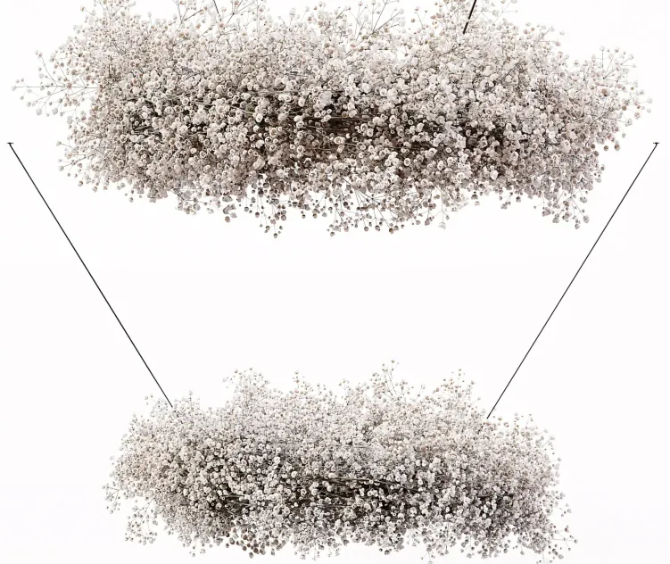 Chandelier Gypsophila