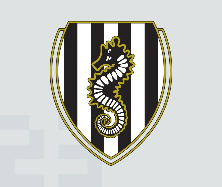 Ac cesena 70s