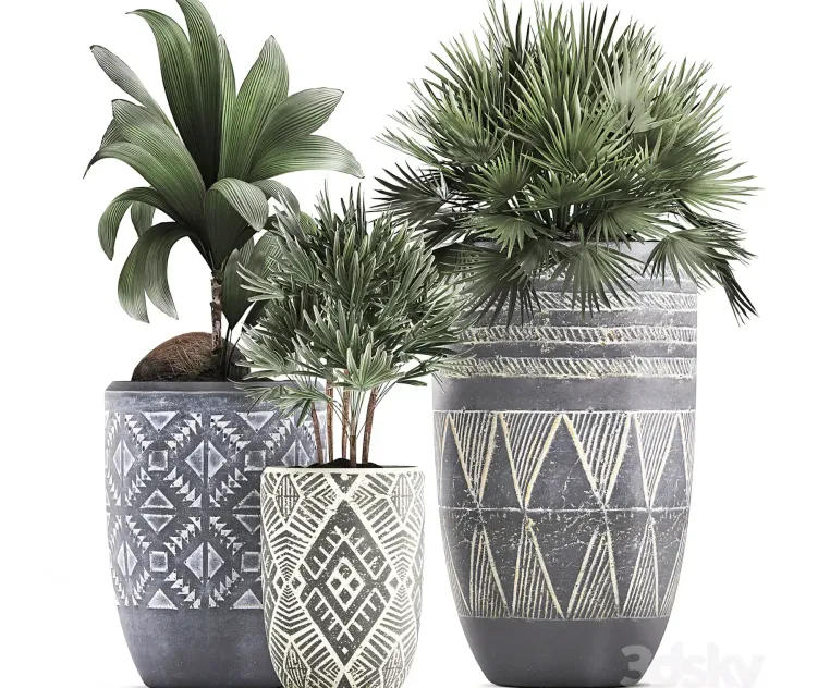 Collection of small plants in ethnic