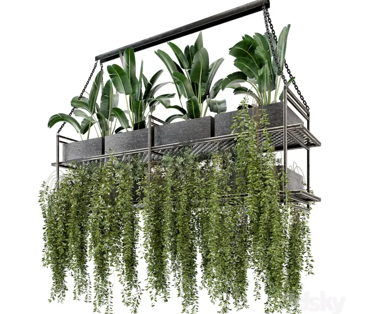 Indoor Hanging Plants in Metal Box Set