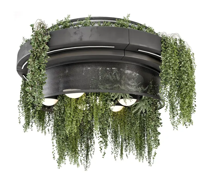 Indoor Hanging Plants in Metal Box Set 2
