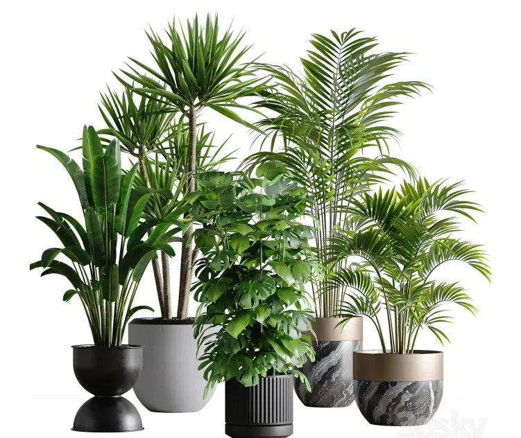Indoor plant set