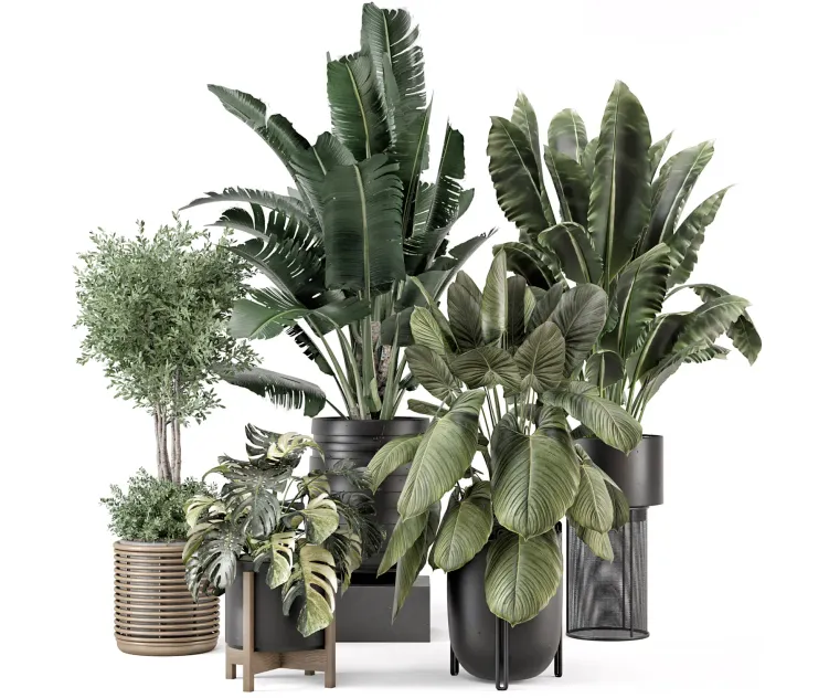 Indoor Plants in Ferm Living Bau Pot Large Set