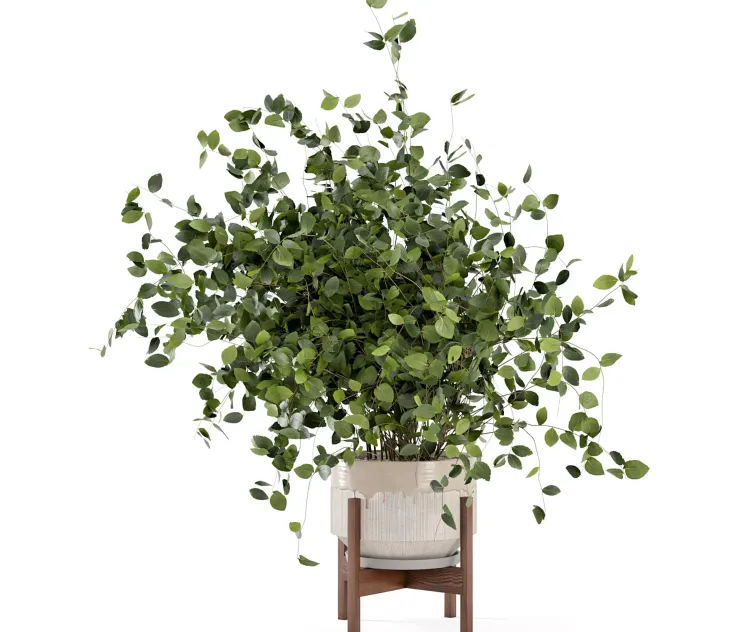 Indoor Plants in rusty Concrete Pot Set 3