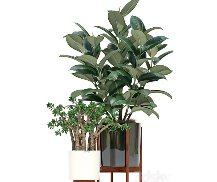 Plants collection Modernica pots