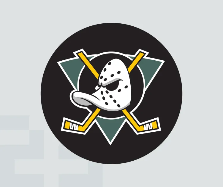 Anaheim ducks 3