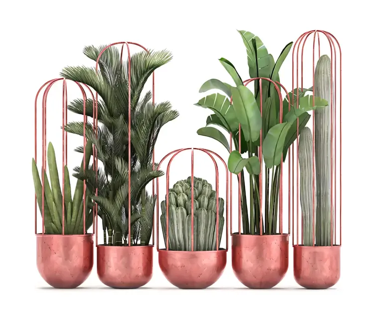 Collection of plants