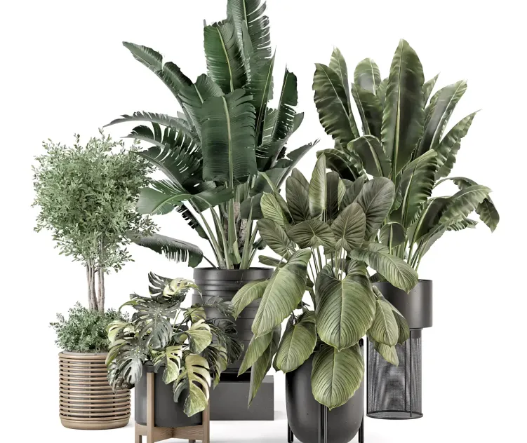 Indoor Plants in Ferm Living Bau Pot Large Set