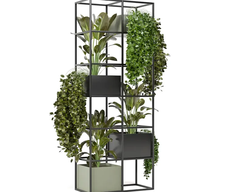 Indoor plants in rusty concrete pot on metal shelf Set