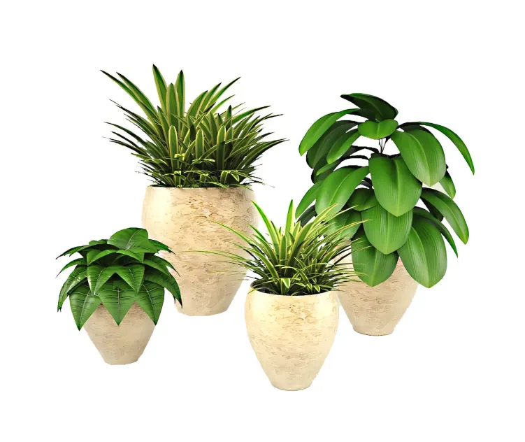 Set of homeplants