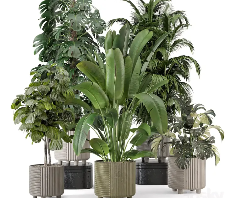 Indoor Planters in Cecilia Ficonstone Pot Set