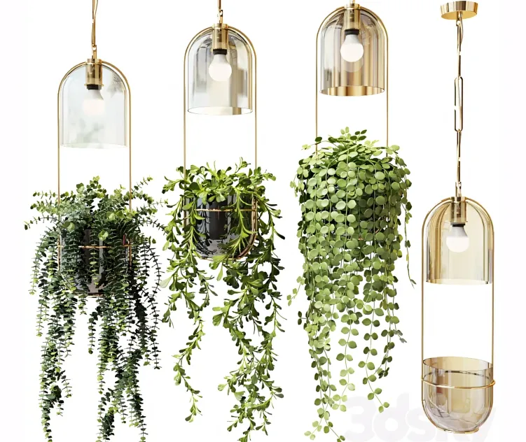 Ampel Plants in Hanging Pots Lamps Set